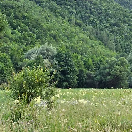Whisper Of The Pliva *